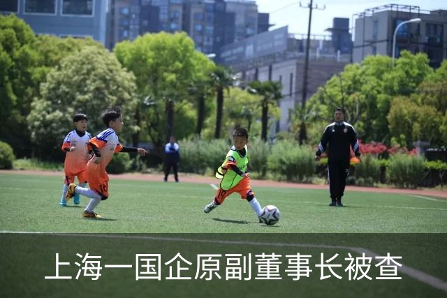 上海一国企原副董事长被查