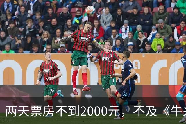 两天票房不到2000元，不及《牛来》一半，多位明星助力也没用，本月最惨电影诞生