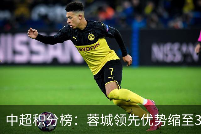 中超积分榜：蓉城领先优势缩至3分 两降级队最终确定
