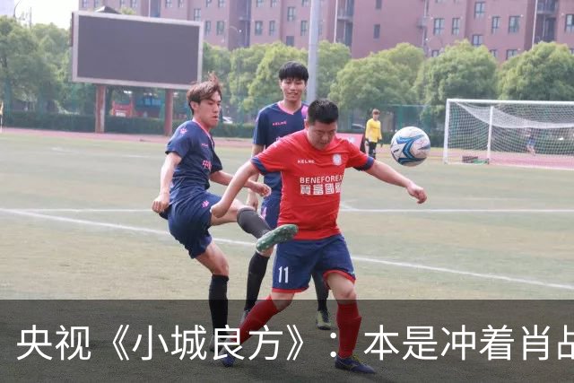 央视《小城良方》：本是冲着肖战看得，却被40岁的女三号惊艳了！