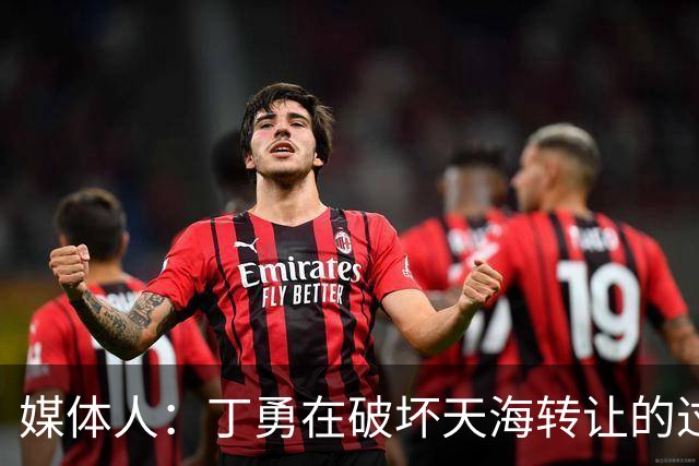 媒体人：丁勇在破坏天海转让的过程中曾拉刘奕下水