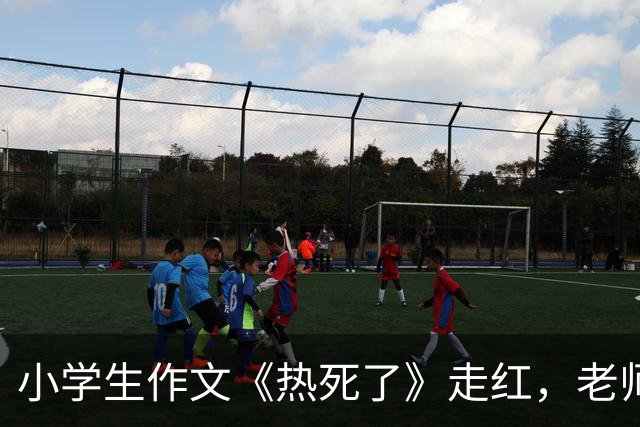 小学生作文《热死了》走红，老师看后直接给满分：我拜你为师吧！