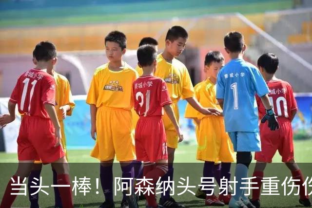 当头一棒！阿森纳头号射手重伤伤退，新赛季恐提前报销，阿尔特塔被迫变阵