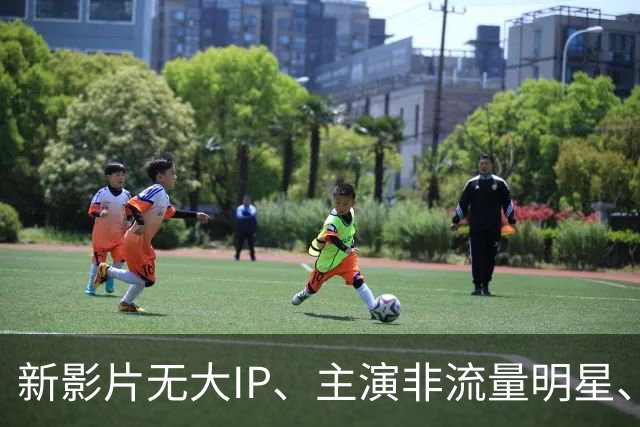 新影片无大IP、主演非流量明星、仅有演员邵老五客串，上映前陕西籍导演上街举牌自荐，“求”市民网友看电影