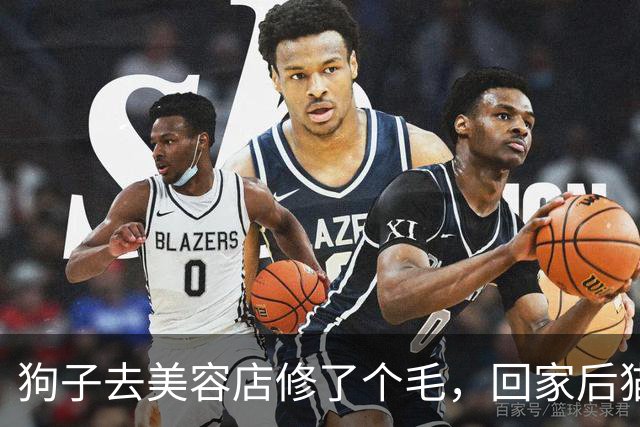 狗子去美容店修了个毛，回家后猫咪直接炸毛：这丑狗是谁？铲屎的，你接错狗了吧！