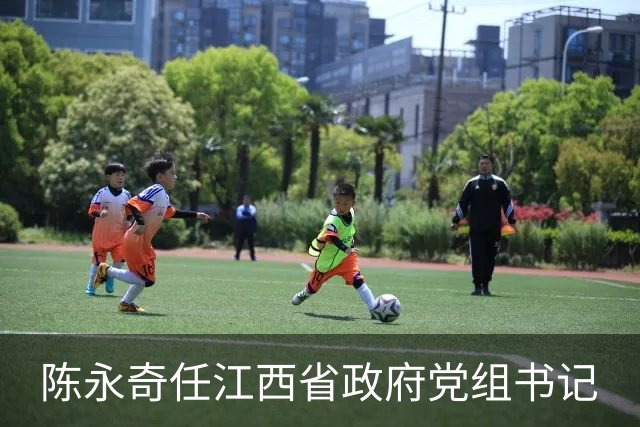 陈永奇任江西省政府党组书记